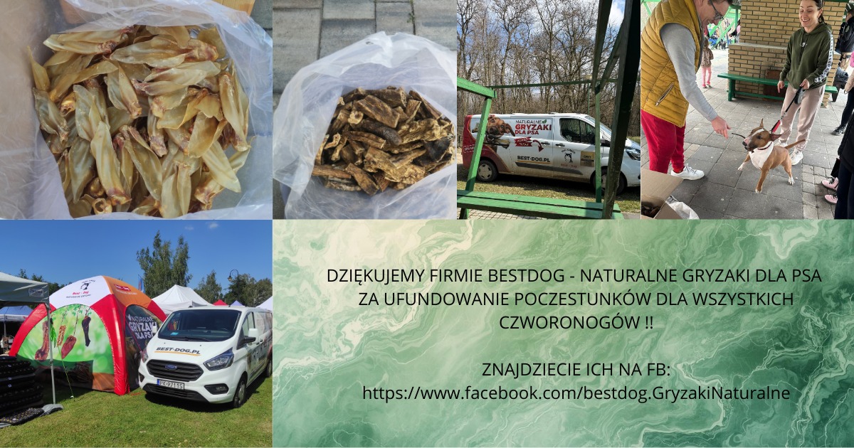Godzina dla Kalisza
